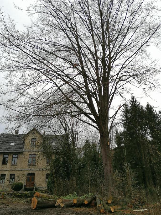 Ferienwohnung Lippolds Stube Brunkensen Exterior foto